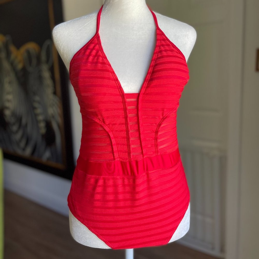Red Hot Mesh Swimsuit